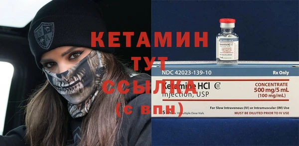 соль ск Новозыбков