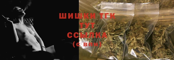 соль ск Новозыбков