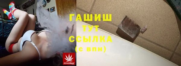 соль ск Новозыбков