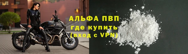 соль ск Новозыбков