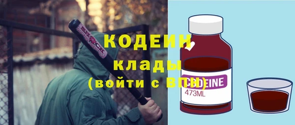 соль ск Новозыбков