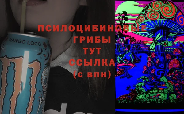 соль ск Новозыбков
