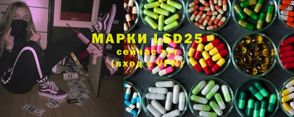 соль ск Новозыбков