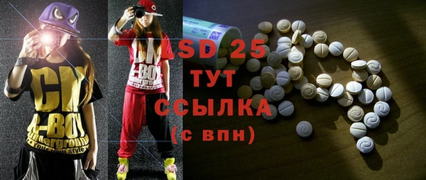 соль ск Новозыбков