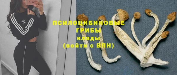 соль ск Новозыбков