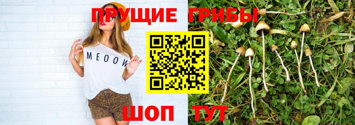 наркота  Саратов  Псилоцибиновые грибы Magic Shrooms  Галлюциногенные грибы мухоморы 