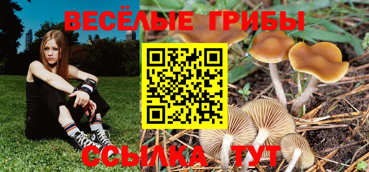 Галлюциногенные грибы мухоморы  Галлюциногенные грибы ЛСД  Вход с VPN  Саратов 